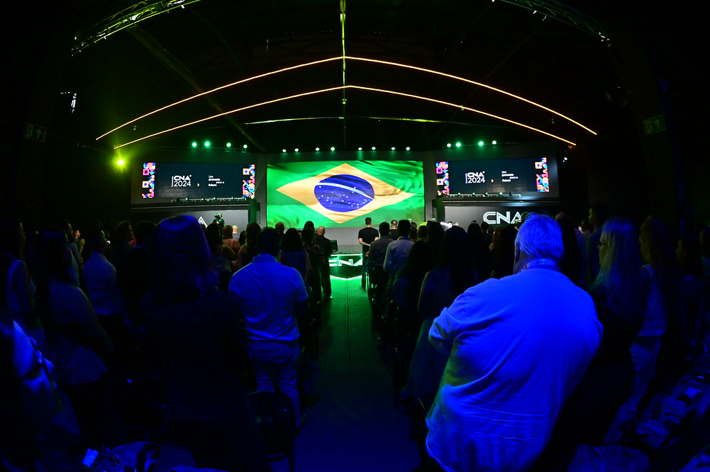 Imagem 11
